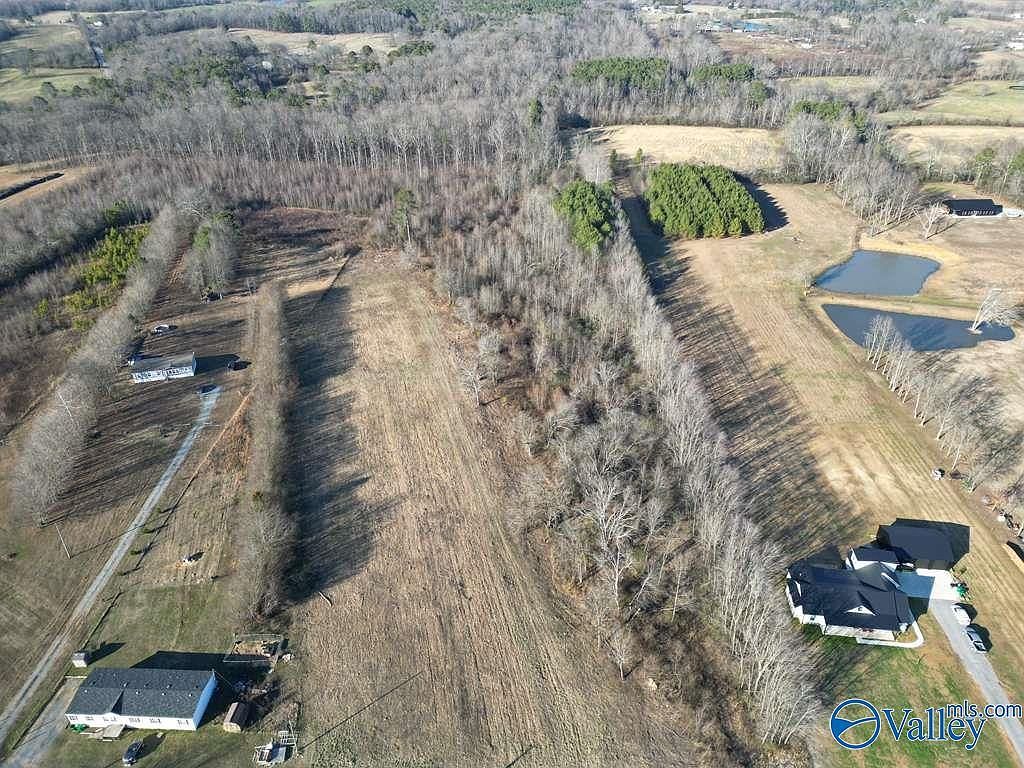 County Road 1597 Baileyton, AL 35019 - Thumbnail 2