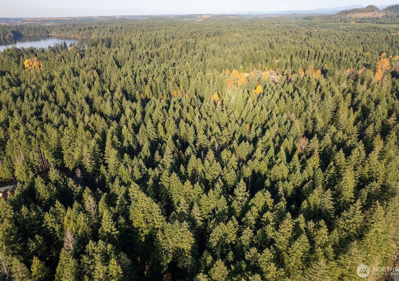 0 Bald Hills Rd SE Yelm, WA 98597 - Thumbnail 2