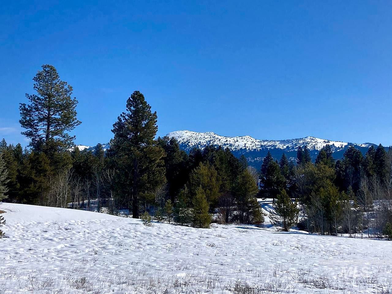 LOT 5 Elkhorn Ranch Rd McCall, ID 83638 - Thumbnail 2