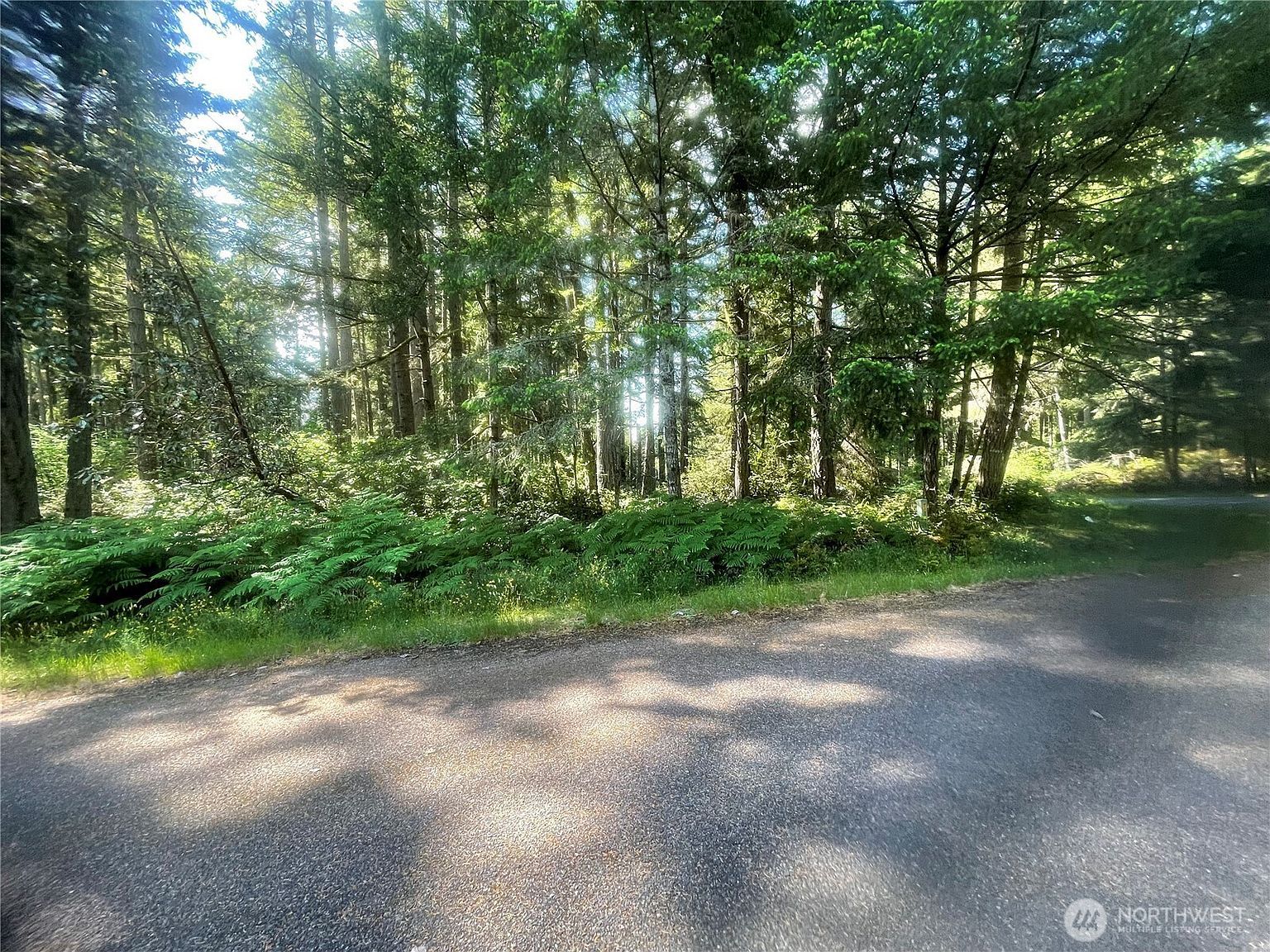 10915 Maple Pl Anderson Island, WA 98303  | Land/Lot
