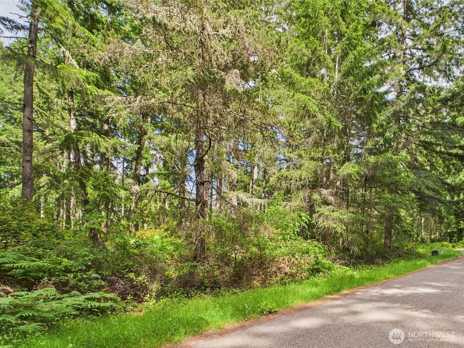 10412 Edgewood Dr Anderson Island, WA 98303 - Thumbnail 2