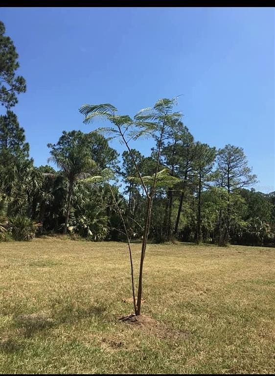 2370 Thacker Trl #141 Kissimmee, FL 34747  | Land/Lot