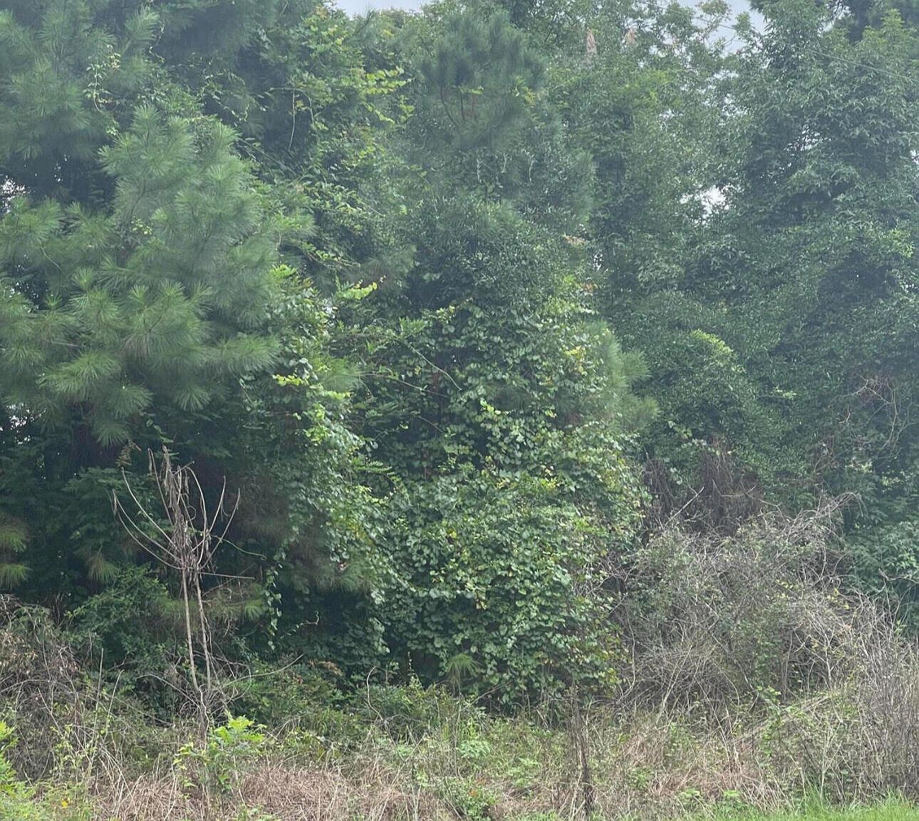 4 Summers Dr Summerville, SC 29485 - Thumbnail 2