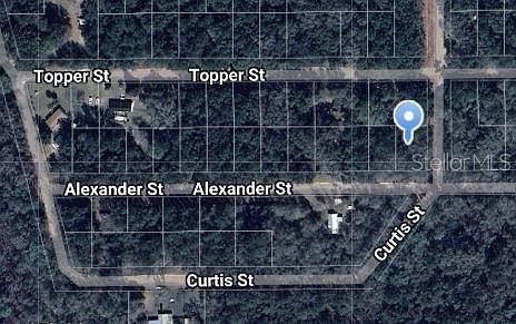 Alexander St #15 Interlachen, FL 32148  | Land/Lot