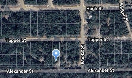 Alexander St #19 Interlachen, FL 32148  | Land/Lot