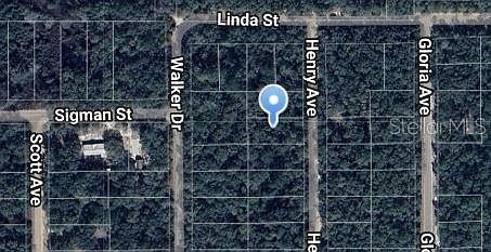 Henry Avenue Lot #32 Interlachen, FL 32148 | Land/Lot