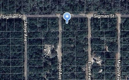 Joel Avenue Lot #1 Interlachen, FL 32148 | Land/Lot