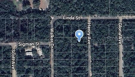 Henry Avenue Lot #33 Interlachen, FL 32148 | Land/Lot