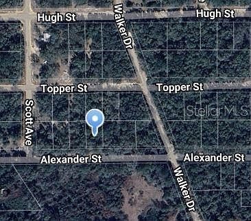 0 Alexander St #10 Interlachen, FL 32148  | Land/Lot