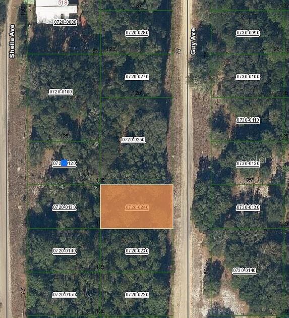 Guy Avenue Lot #24 Interlachen, FL 32148 - Thumbnail 2