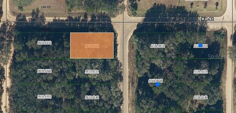 Annette Avenue Lot #36 Interlachen, FL 32148 - Thumbnail 2