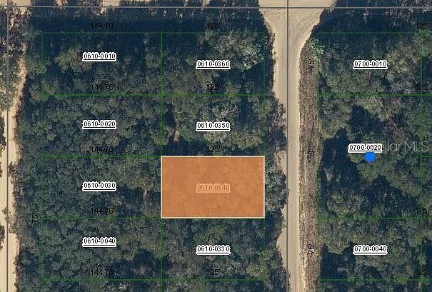 Annette Avenue Lot #34 Interlachen, FL 32148 - Thumbnail 2