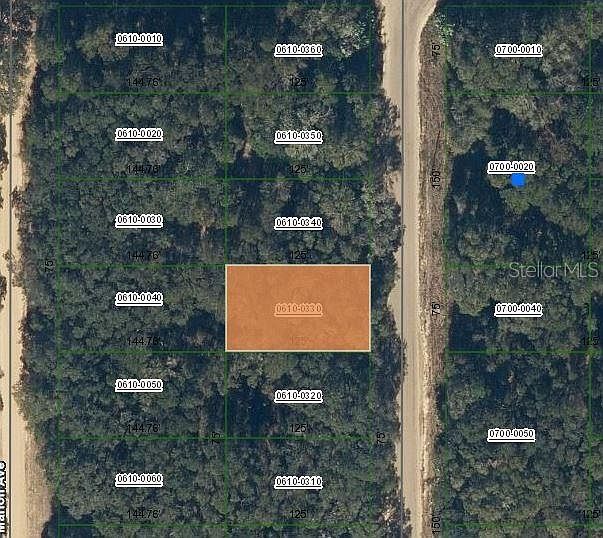 Annette Avenue Lot #33 Interlachen, FL 32148 - Thumbnail 2