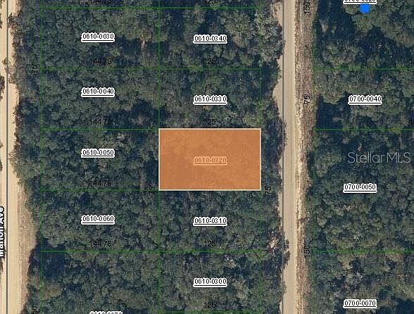 Annette Avenue Lot #32 Interlachen, FL 32148 - Thumbnail 2