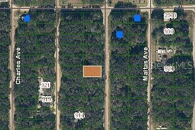 Annette Ave #31 Interlachen, FL 32148 - Thumbnail 2
