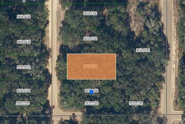 Marion Avenue Lot #17 Interlachen, FL 32148 - Thumbnail 2