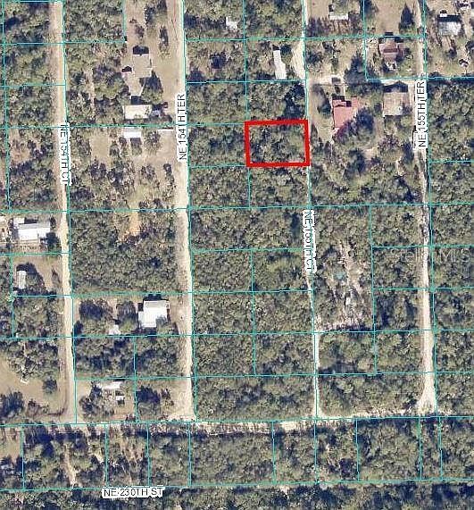 NE 155th Ct #10 Fort Mc Coy, FL 32134 - Thumbnail 2