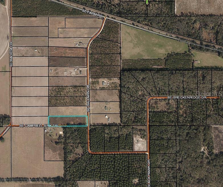 SE Baldwin Dr Lot 11 Lee, FL 32059 - Thumbnail 2