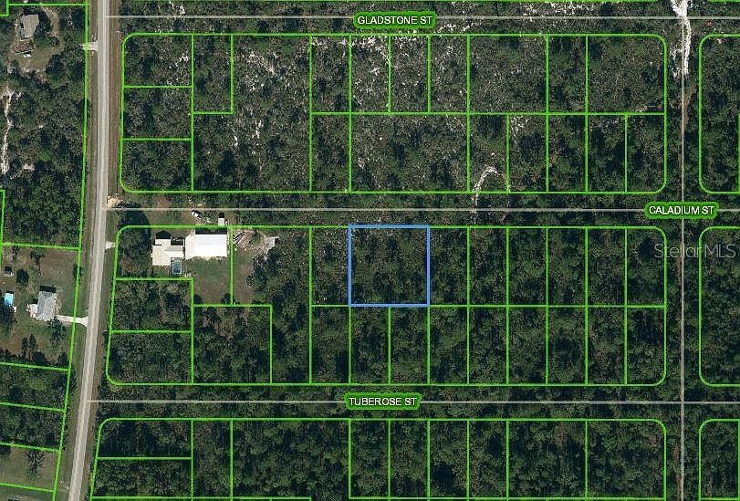 1411 Caladium St #6 Lake Placid, FL 33852 - Thumbnail 2