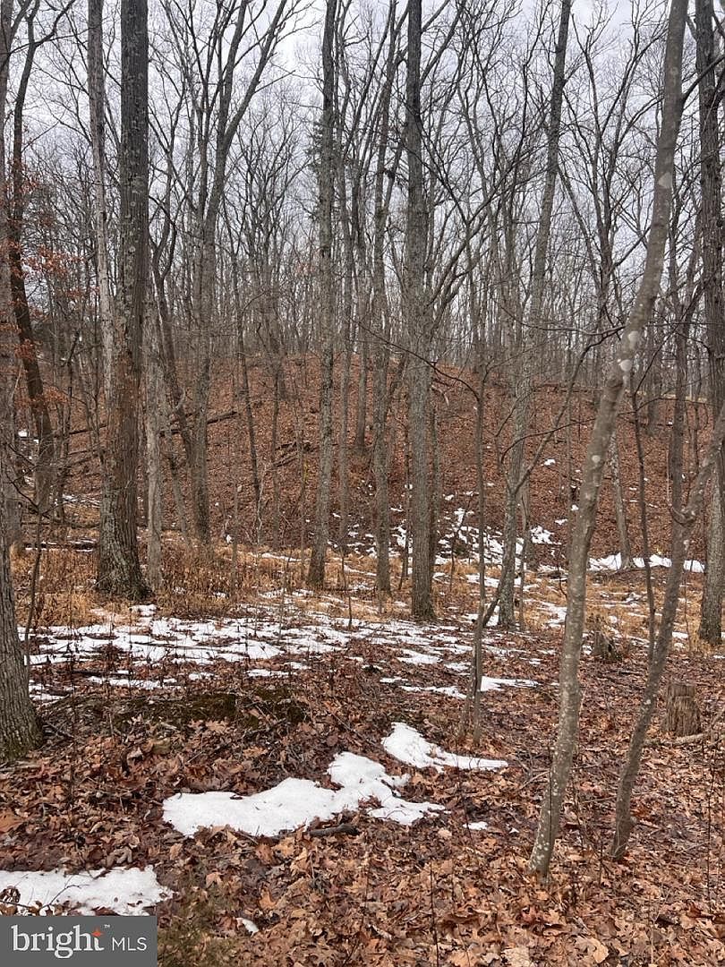 Hummingbird Ln Star Tannery, VA 22654 - Thumbnail 2