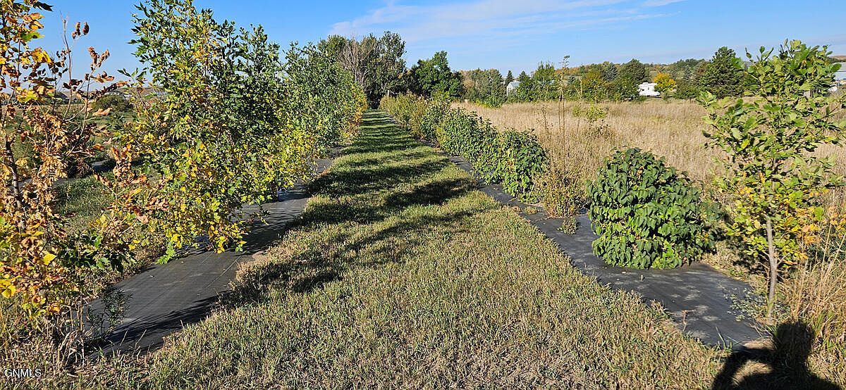 On Country Ln Mandan, ND 58554  | Land/Lot