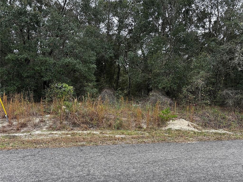 SE 115th Place Rd Lot 2 Ocklawaha, FL 32179 - Thumbnail 2