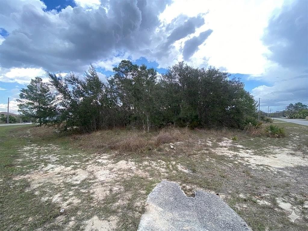 174 Maple Dr Lot 10 Kissimmee, FL 34759 - Thumbnail 2