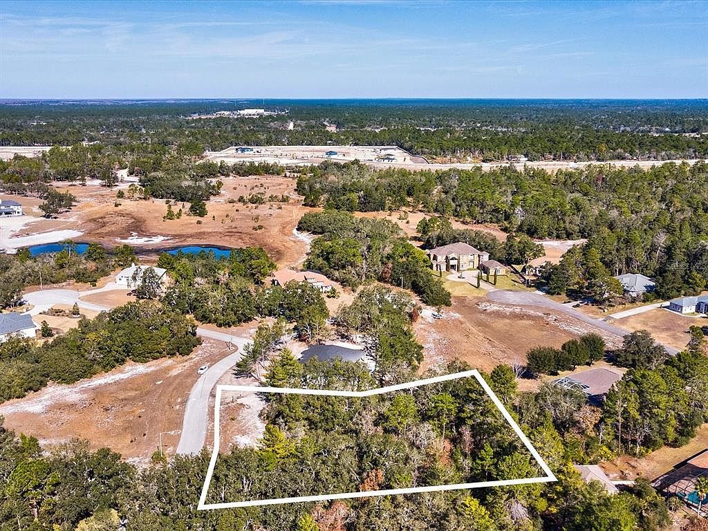 9630 Wilderness Trl Lot 17-18 Brooksville, FL 34613 - Thumbnail 2