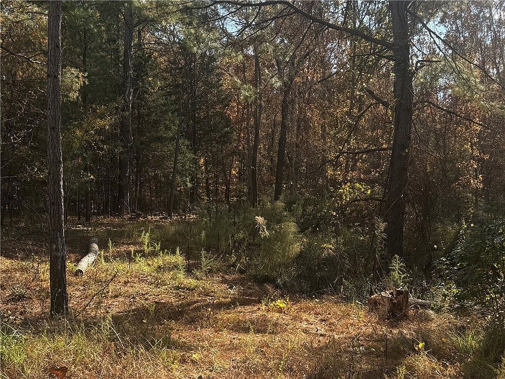 1206 Cheeks Cir Gray Court, SC 29645 - Thumbnail 2