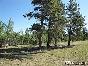 257 Bolster Dr #1094 Hartsel, CO 80449  | Land/Lot