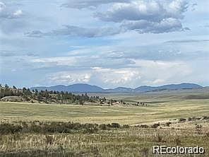 1599 Campfire Rd Lot 707 Hartsel, CO 80449  | Land/Lot