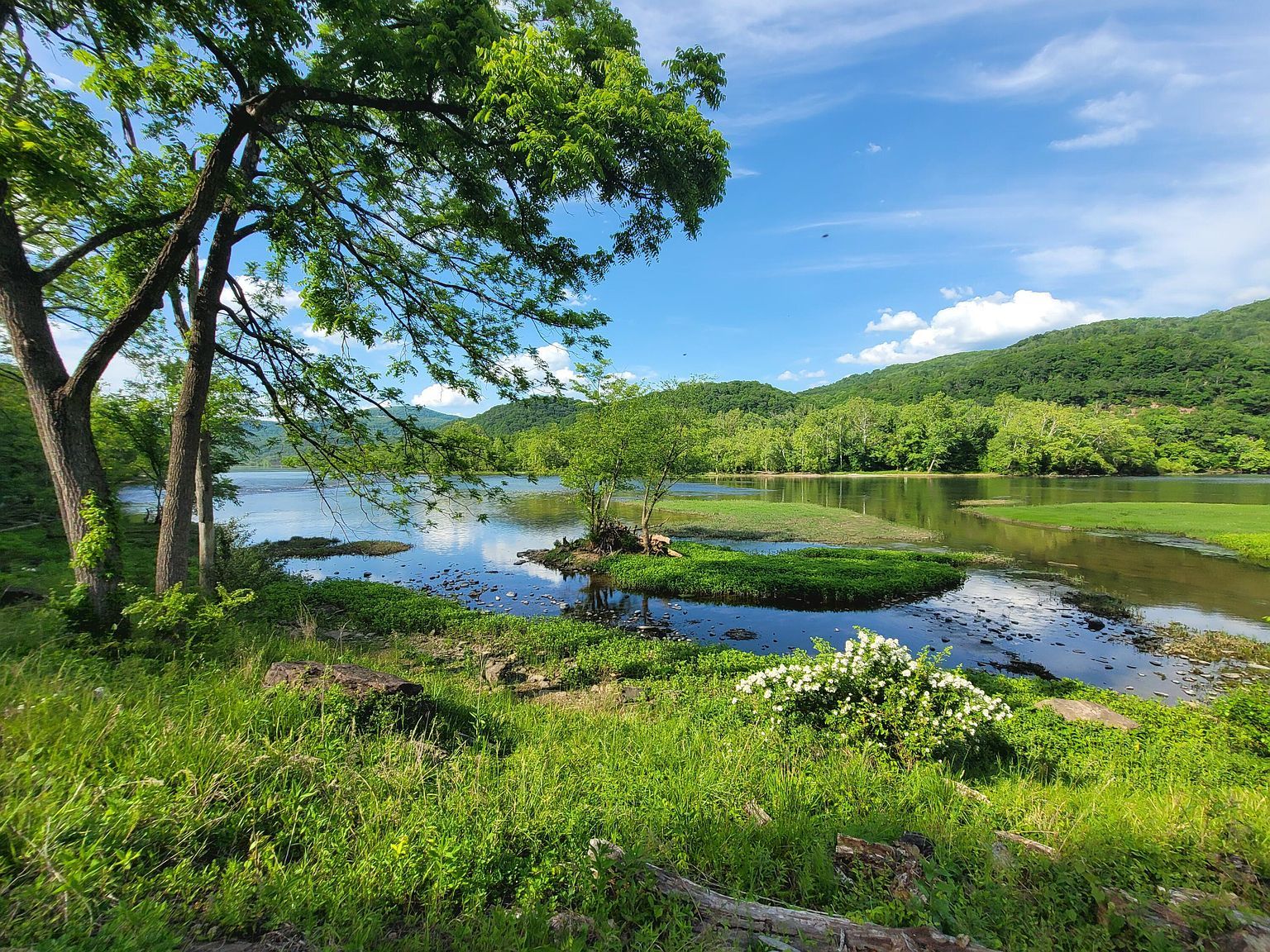 1353 New River Rd Hinton, WV 25951, 25951