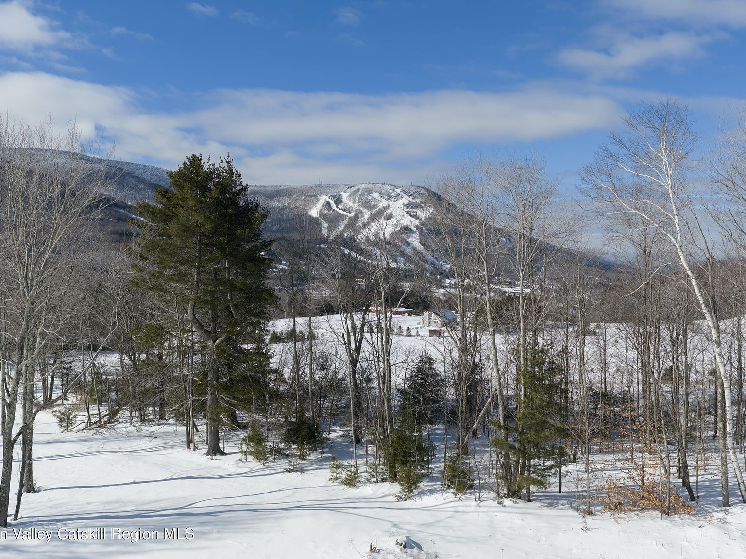 4 Ruth Ct Hunter, NY 12442 - Thumbnail 2