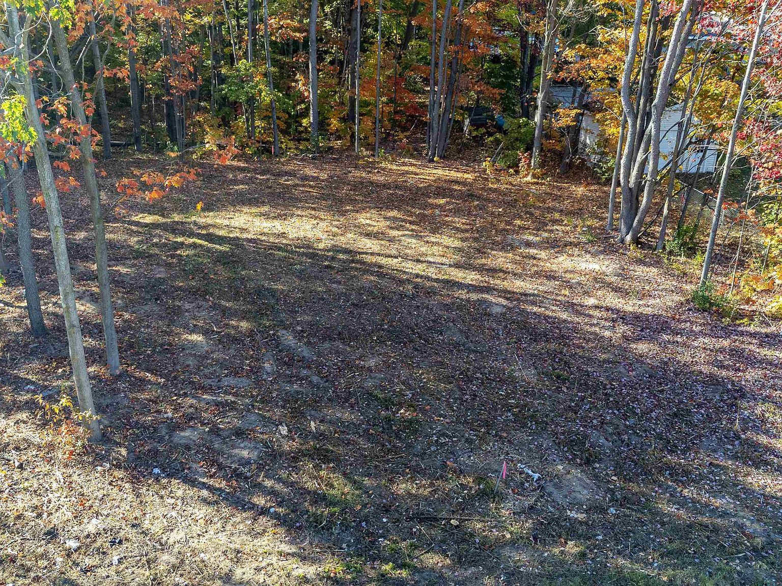 223 Alexander St Cadillac, MI 49601 - Thumbnail 2