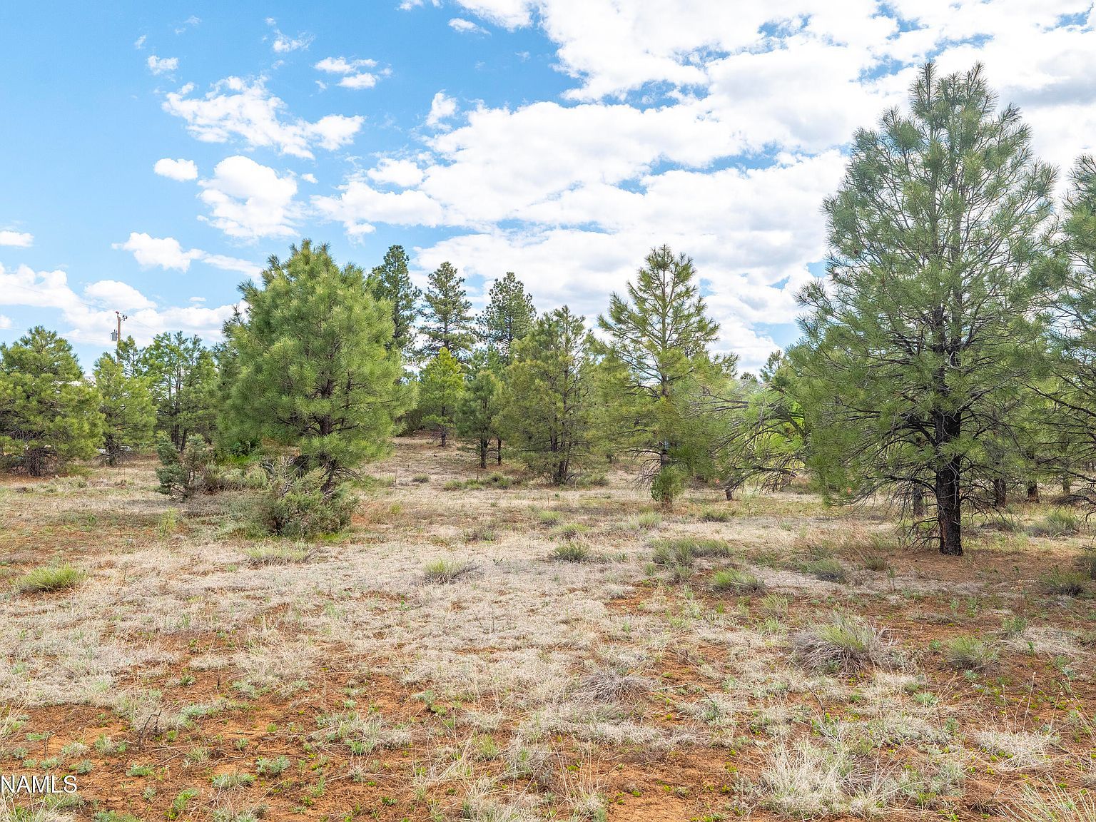 100 S Hot Rod Aly Parks, AZ 86018 - Thumbnail 2