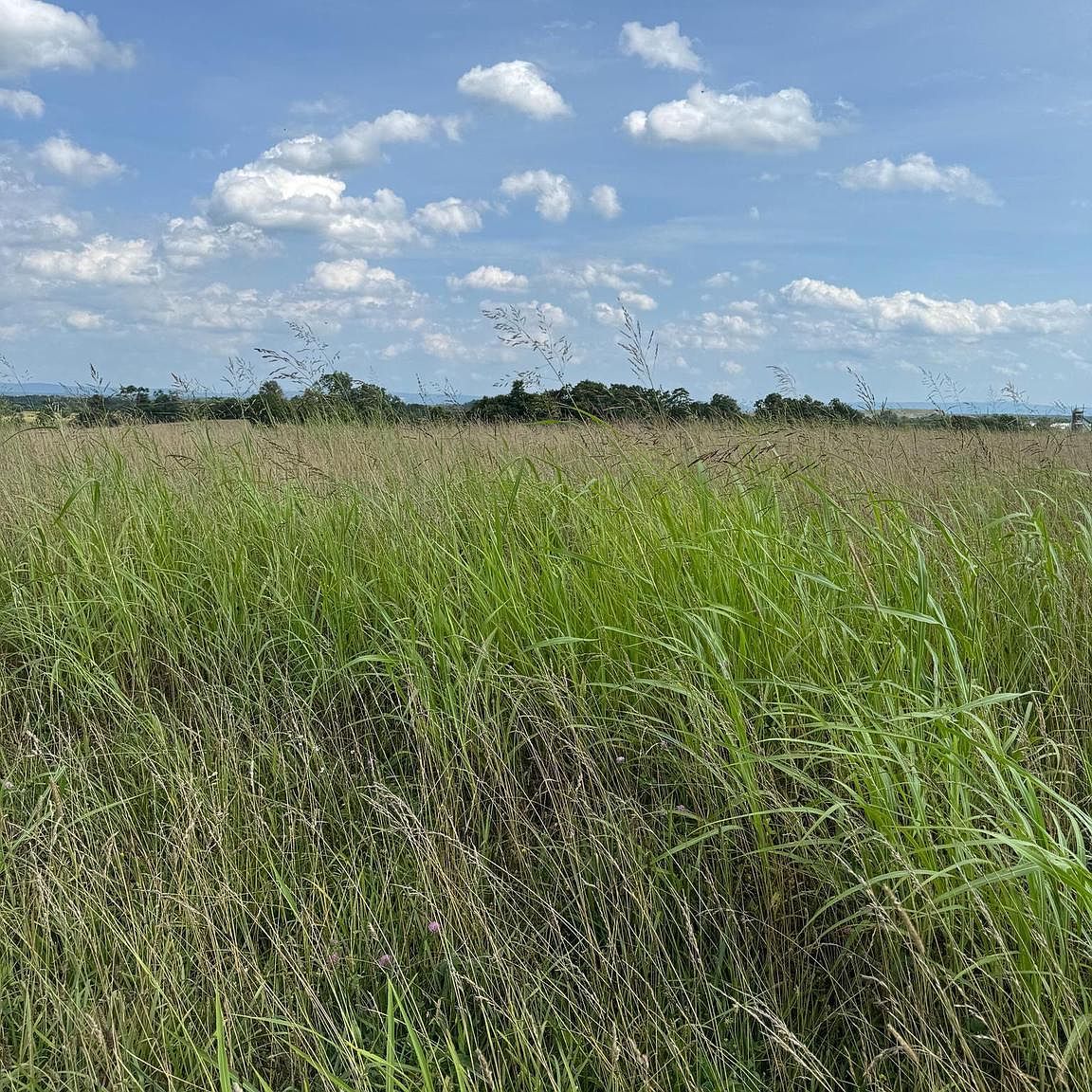 LOT 1 Glebe Dr Clear Brook, VA 22624  | Land/Lot