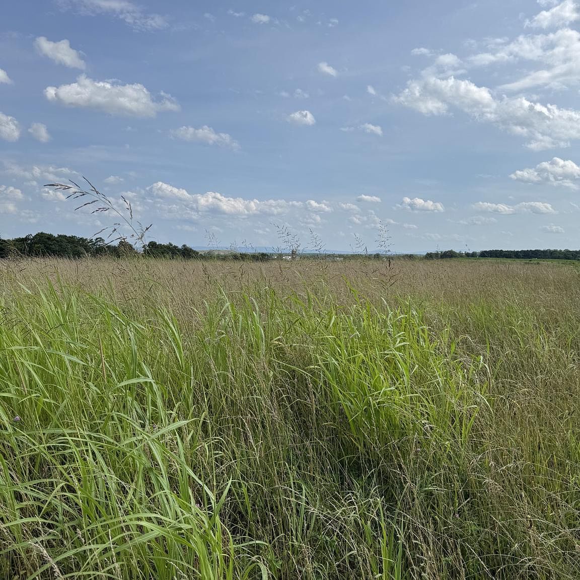 LOT 2 Glebe Dr Clear Brook, VA 22624 - Thumbnail 2