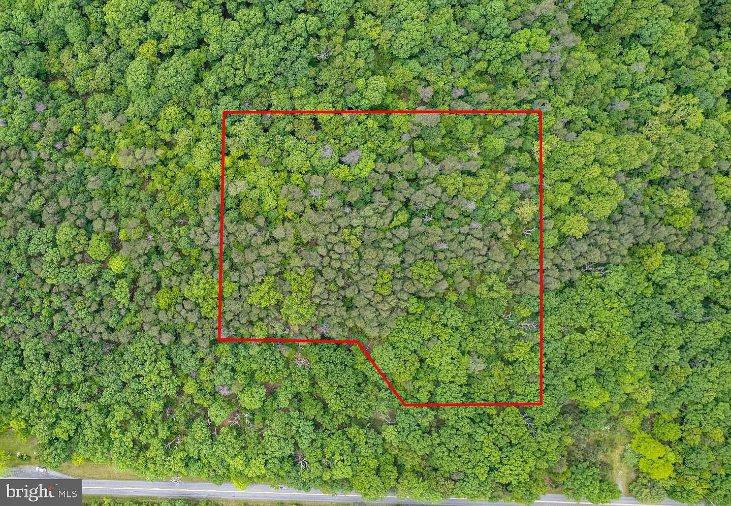 2 N Timber Ridge Rd Cross Junction, VA 22625 - Thumbnail 2