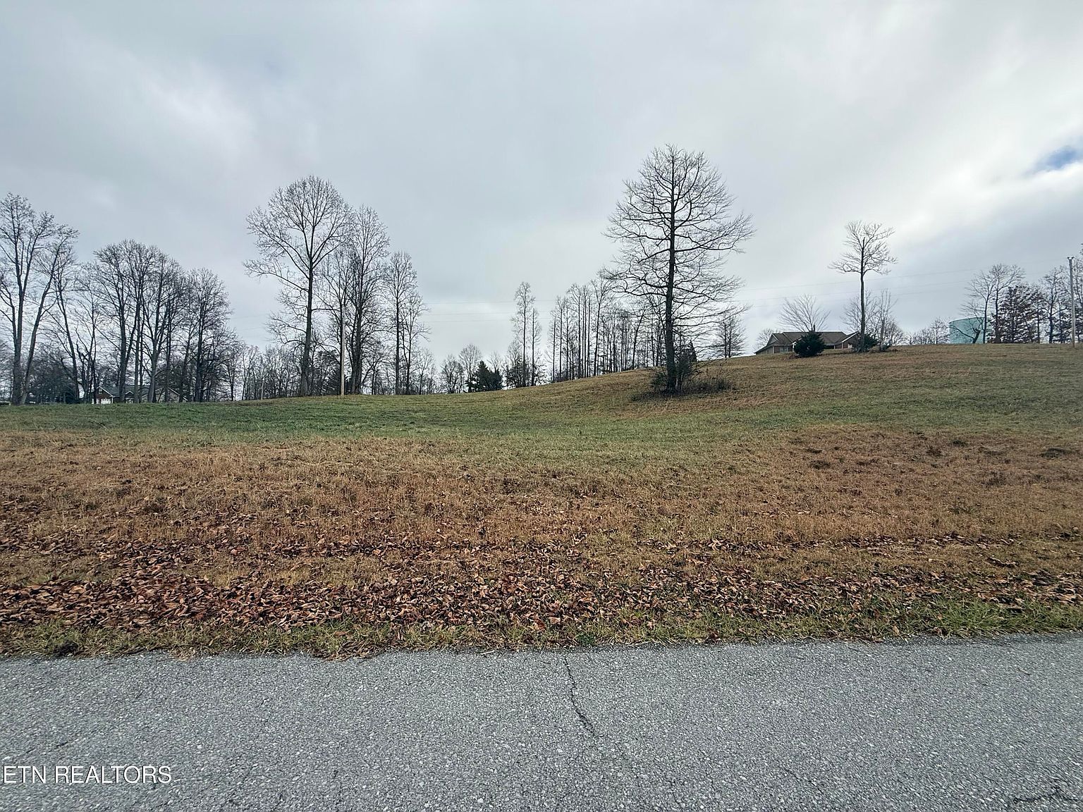 LOT 29 Oak Point Dr Jonesville, VA 24263 - Thumbnail 2