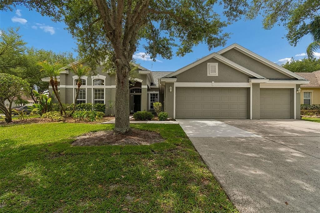 10243 Shadow Branch Dr Tampa, FL 33647, 33647
