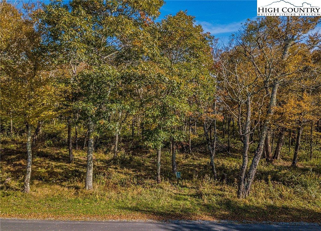 196 Green Cliffs Rd Banner Elk, NC 28604 - Thumbnail 2