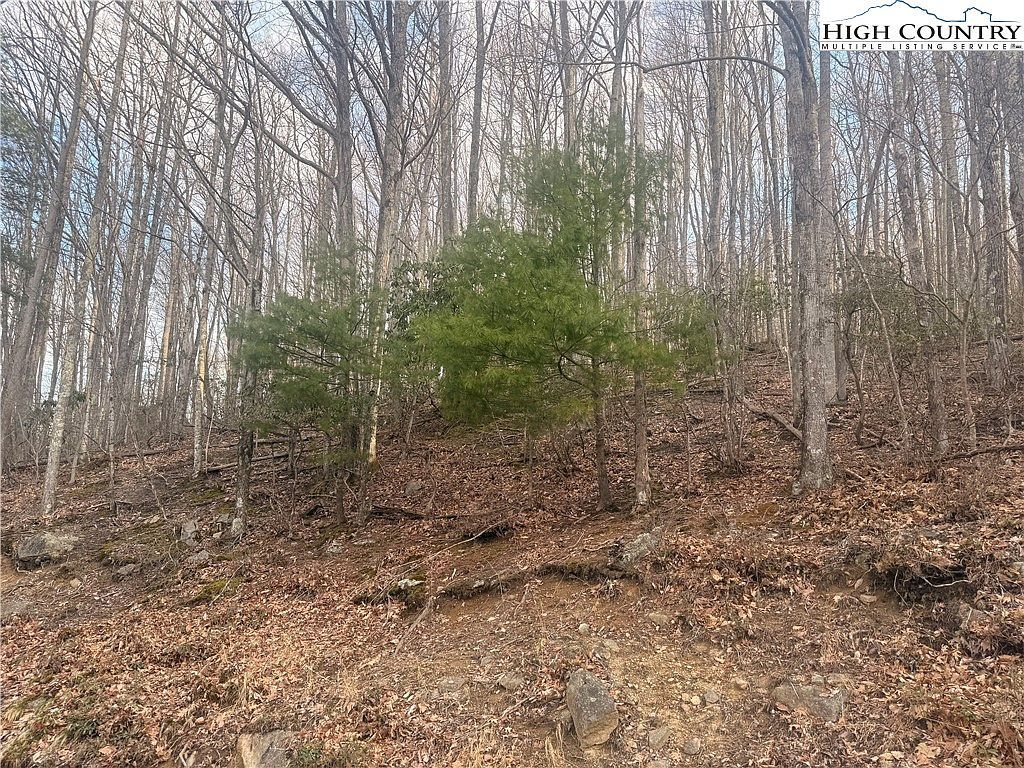 212 Jackpine Rd Banner Elk, NC 28604  | Land/Lot