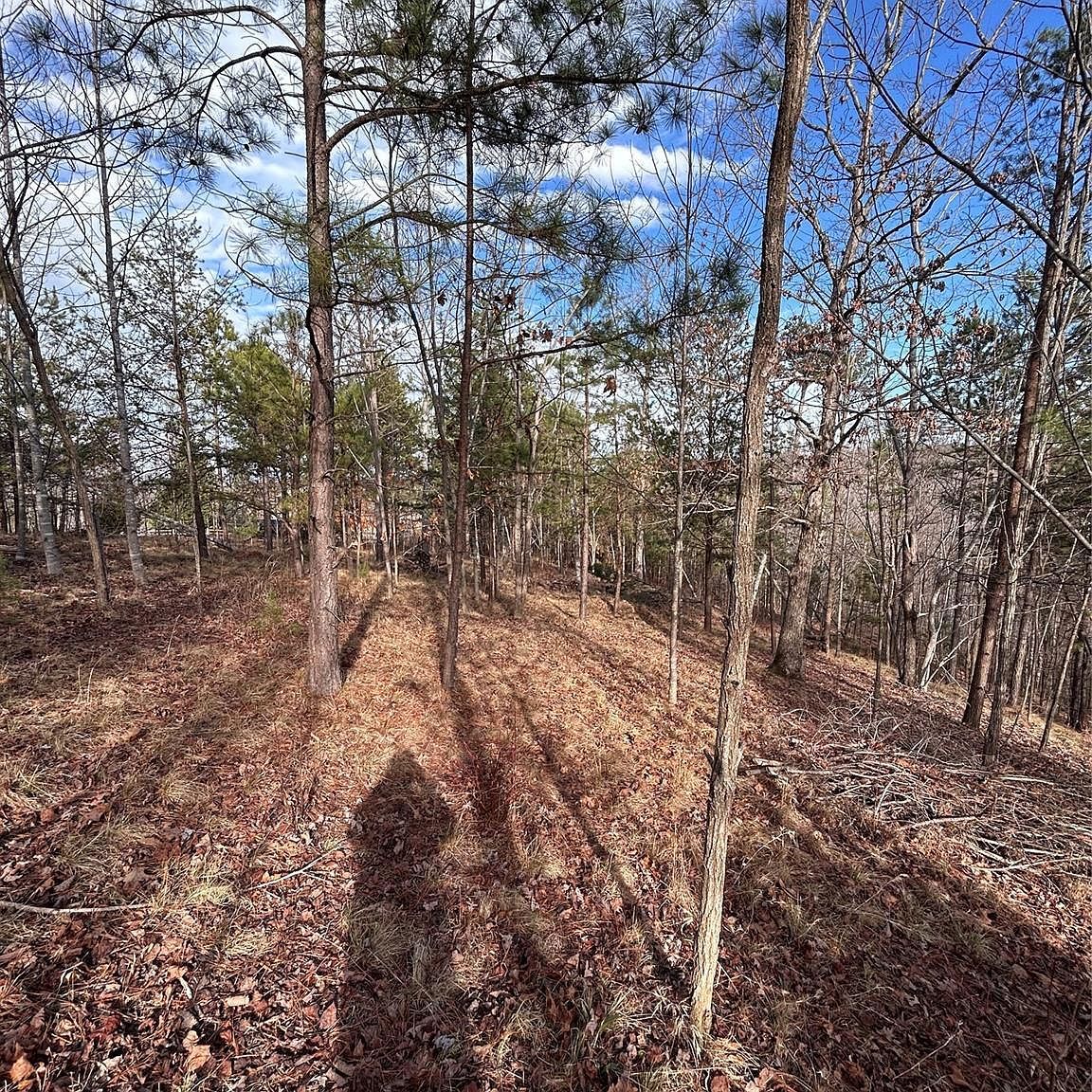 254 Stoney Creek Dr #224 Nebo, NC 28761  | Land/Lot