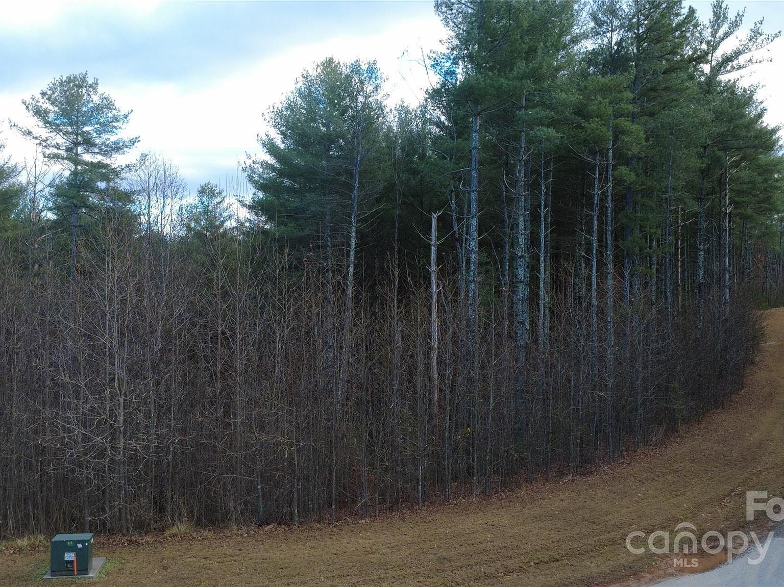 597 Peninsula Reserve Rd #34 Nebo, NC 28761  | Land/Lot