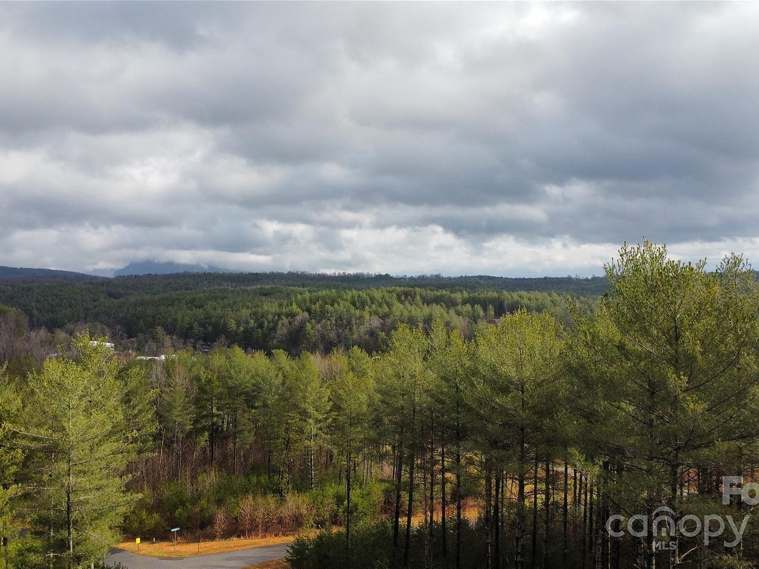 26 Peninsula Reserve Rd #26 Nebo, NC 28761  | Land/Lot