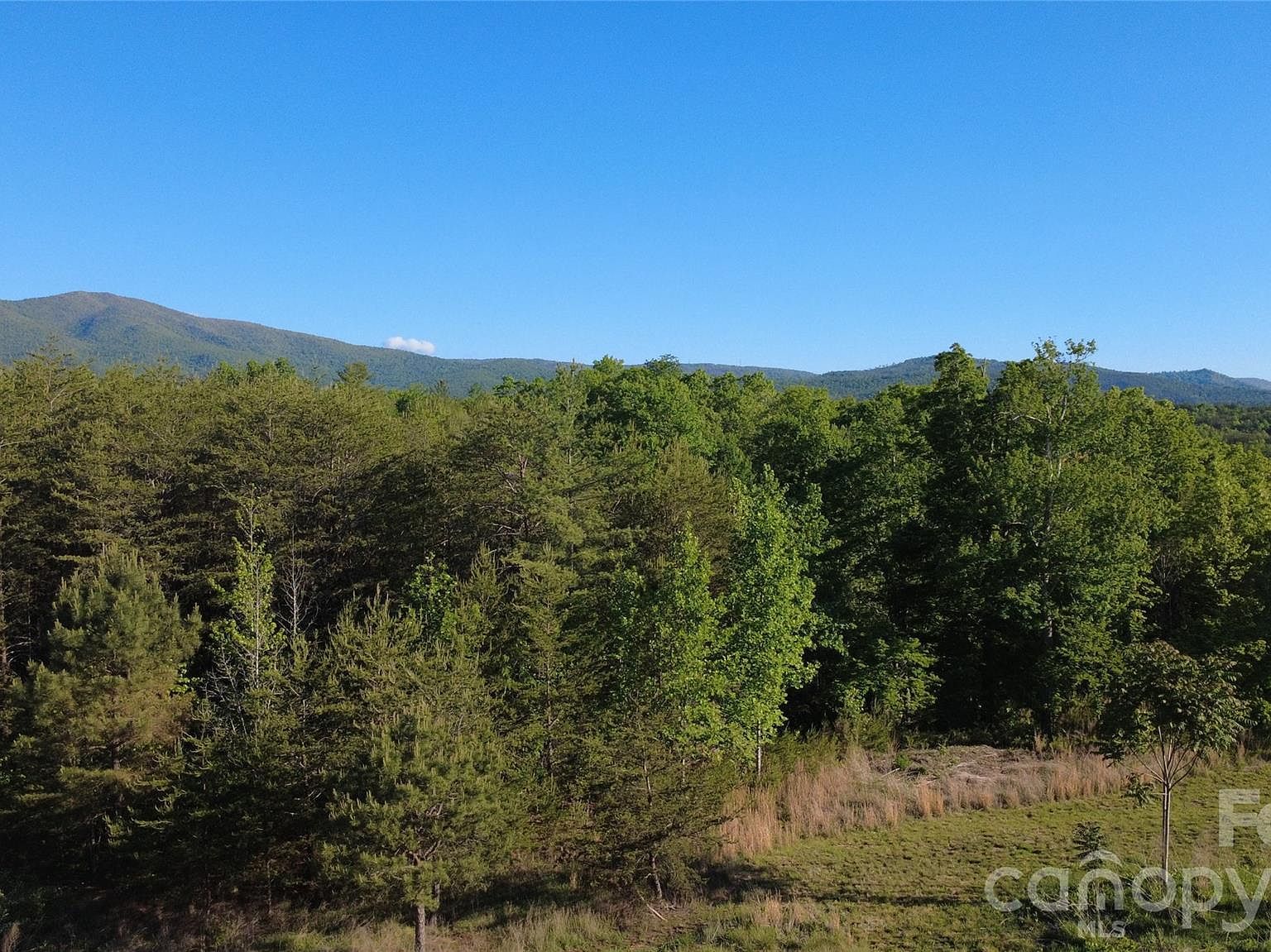 431 Ridge Point Rd #7 Nebo, NC 28761, 28761