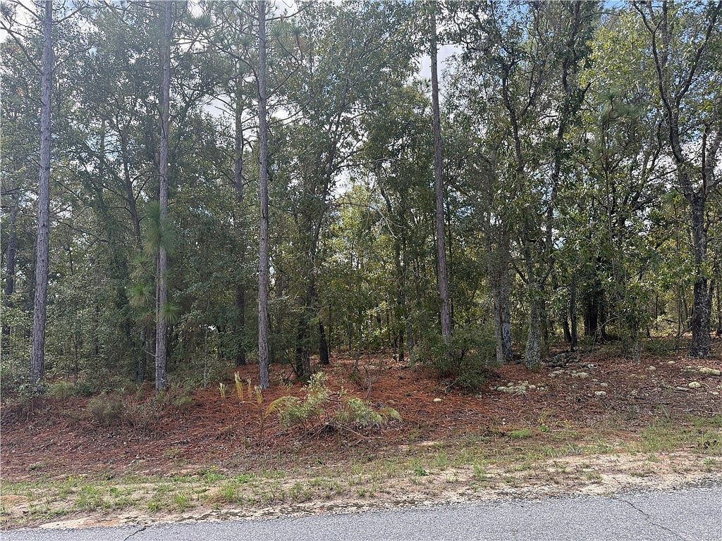 LOT 51 Ridge Loop Blackshear, GA 31516 - Thumbnail 2
