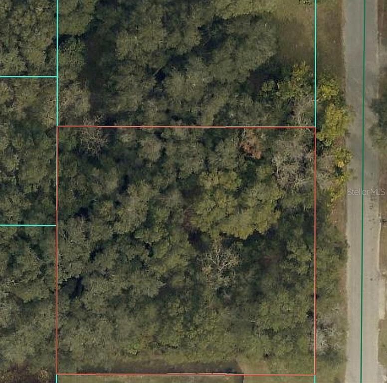 SE 94th Ct Lot 32 Summerfield, FL 34491 - Thumbnail 2