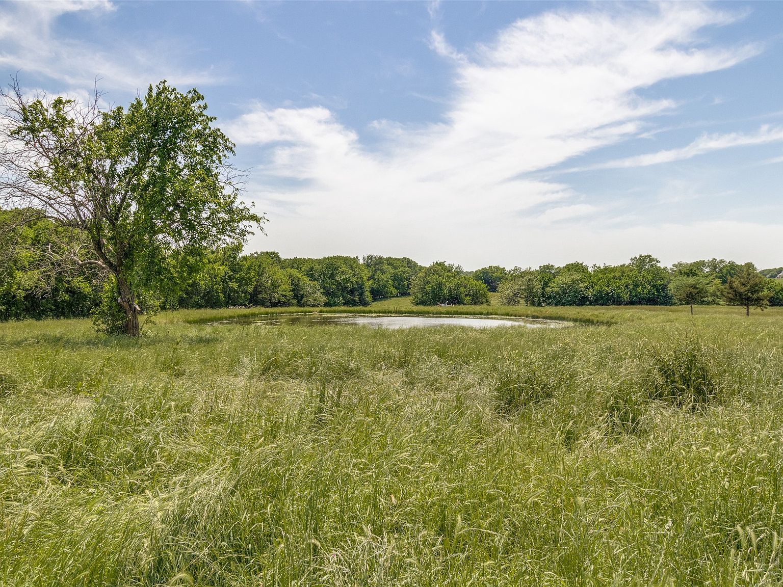7163 County Road 573 Blue Ridge, TX 75424, 75424