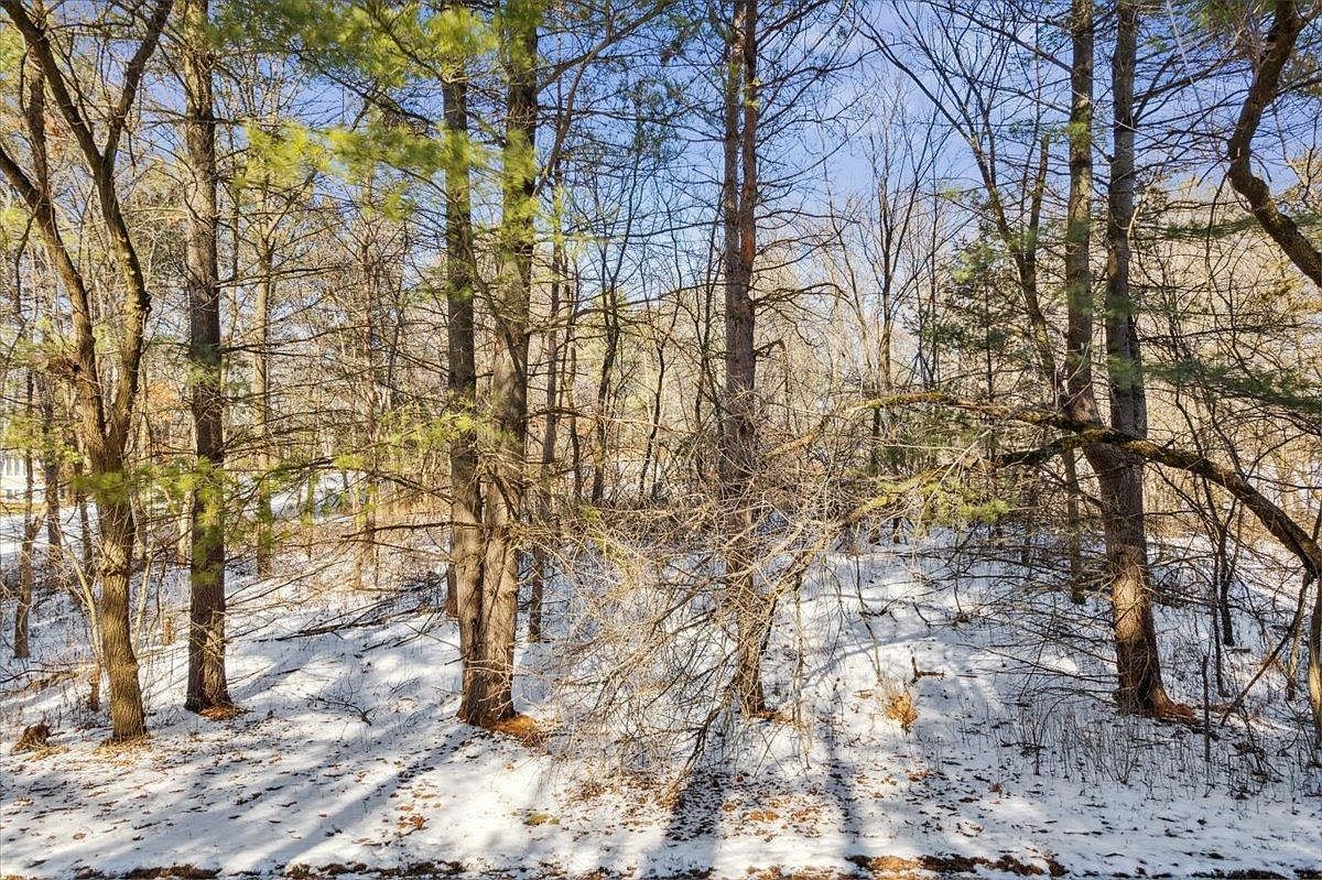 89th St N Saint Paul, MN 55115 - Thumbnail 2